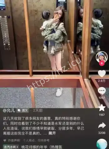 隐婚出轨网红