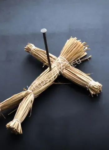 目击者直呼作呕