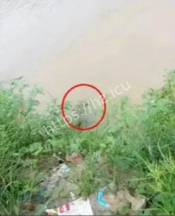 乡村水域罕见怪异现象