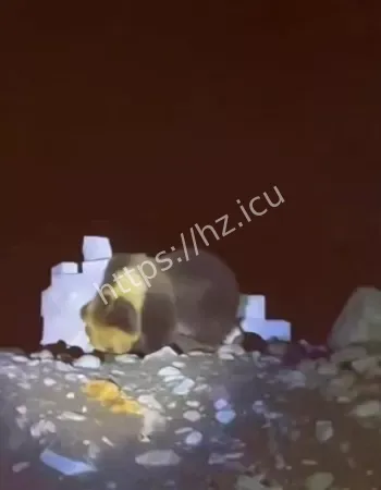何时得保障