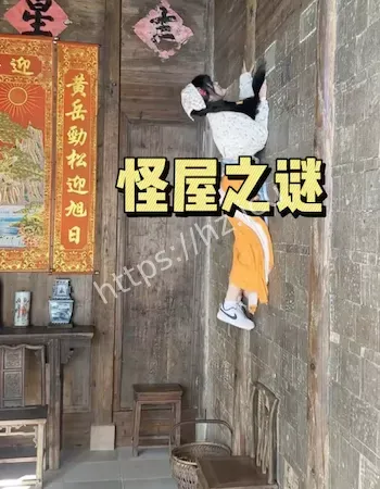 真相曝光