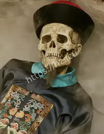 749局绝密档案