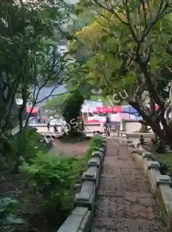 不为人知的故事