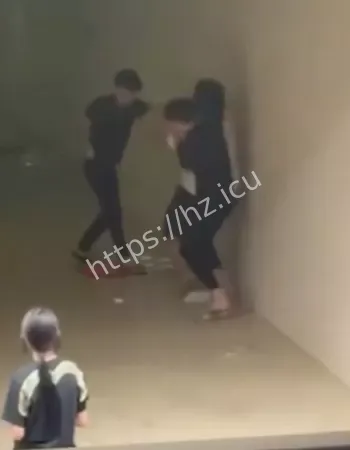 精神小伙砍完就跑