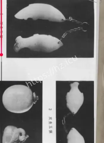 40年谜底揭开