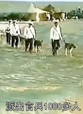 他究竟去了哪里