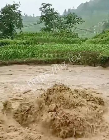 菜地突然冒出大量清水