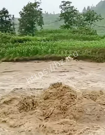 菜地突然冒出大量清水