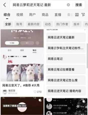 音乐平台荷尔蒙乐园