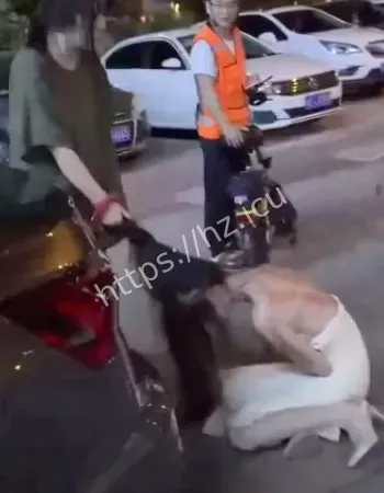 湖南邵阳抓奸现场
