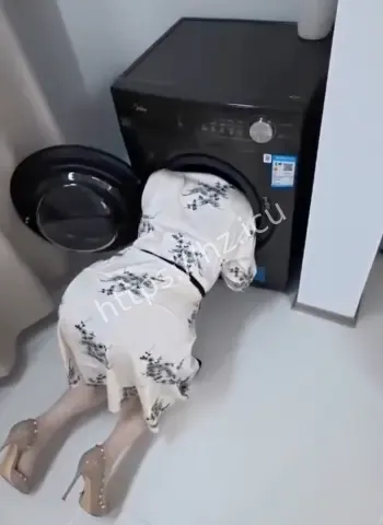 星野兔激烈内战两轮