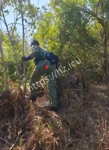 福建深山封存诡案终于曝光
