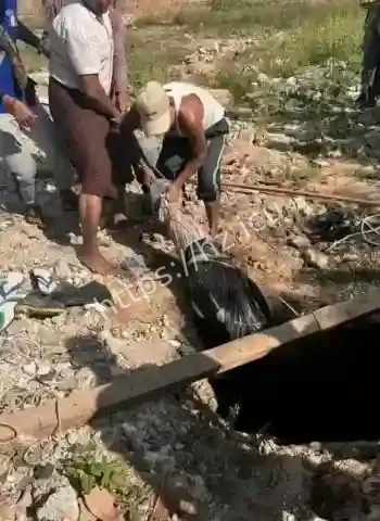 缅北卧虎山庄惨案