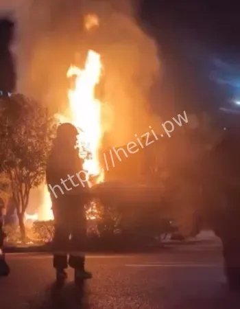 重庆吊车自燃事件