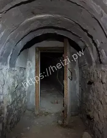 老人直呼有东西跟出来了