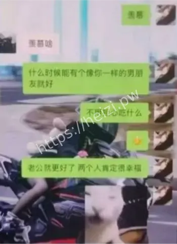网红半年衔接6男