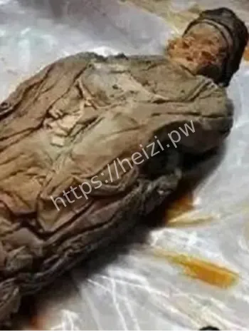 明代不腐女尸发掘