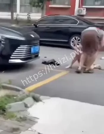 暴打小三母女