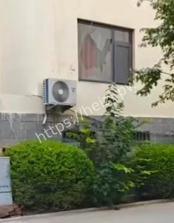 母子齐上阵
