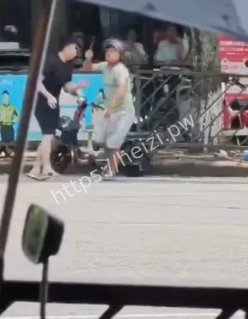 引网友热议