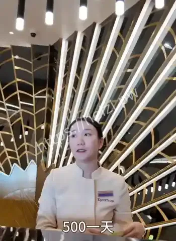 勇闯金三角真实记录