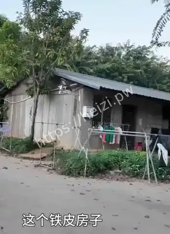 整个城市遍地诈骗园区