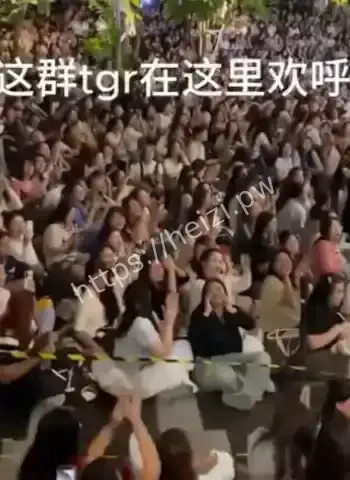 中国女粉丝