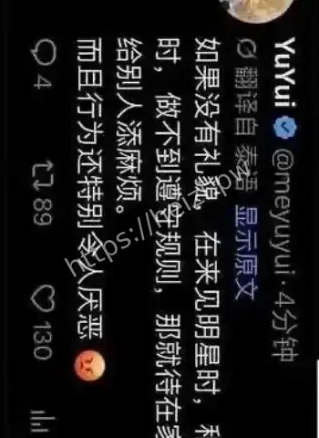 中国女粉丝