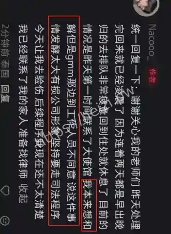 中国女粉丝