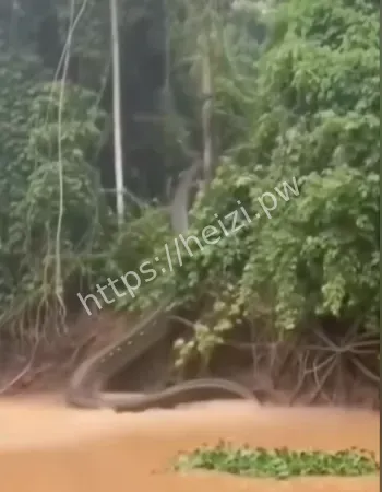 画面太震撼