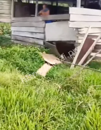 画面太震撼