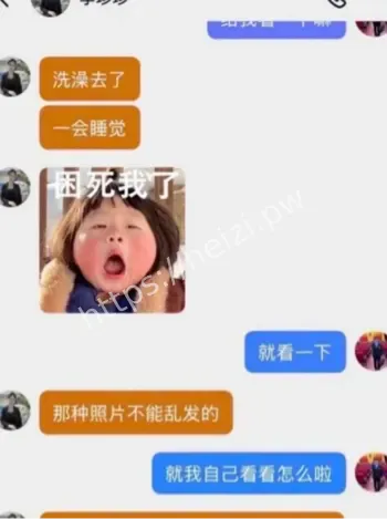刘大师聊天记录曝光