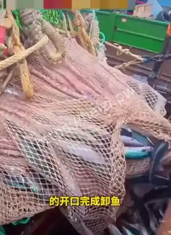 真相曝光后全网都服了