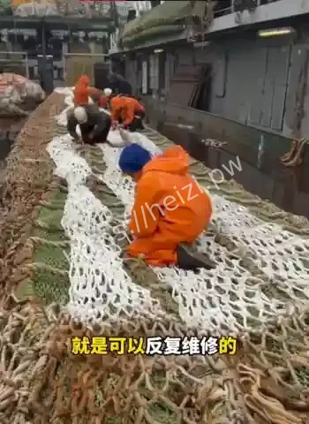 渔民为什么故意把渔网割破