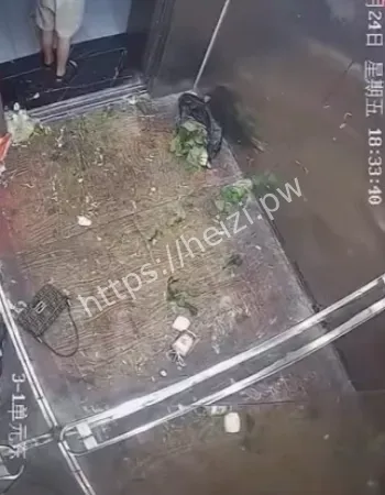 湖北仙桃