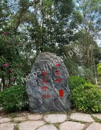 神秘之地藏着什么