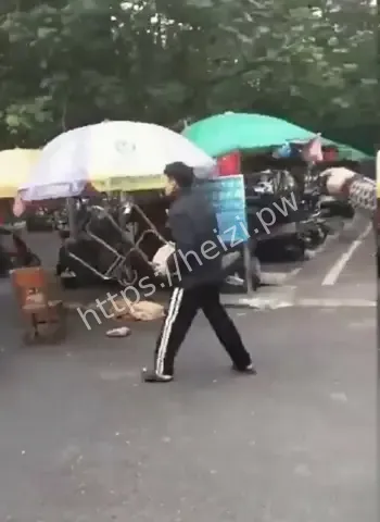 视频全网刷屏