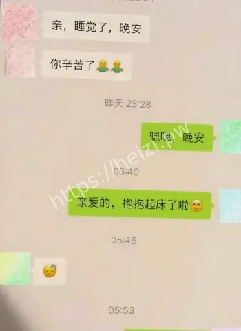 婚内出轨同居小三