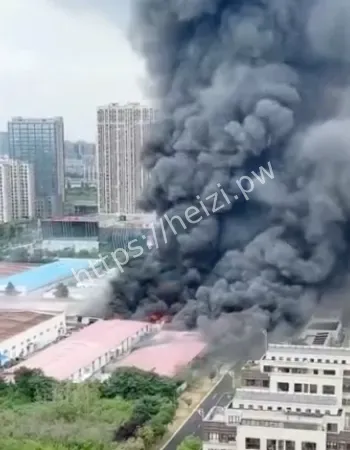 现场视频流出