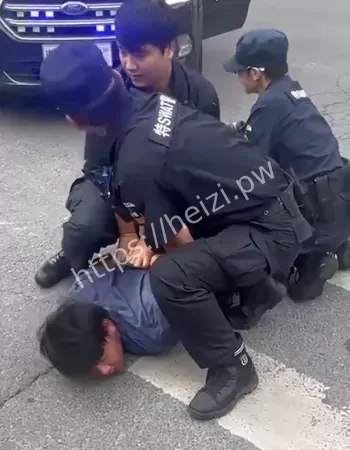 多辆汽车受损