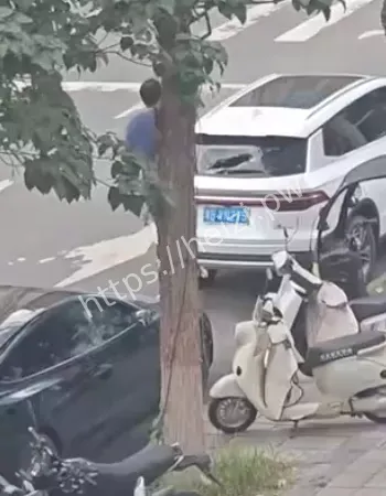 警车也未能幸免