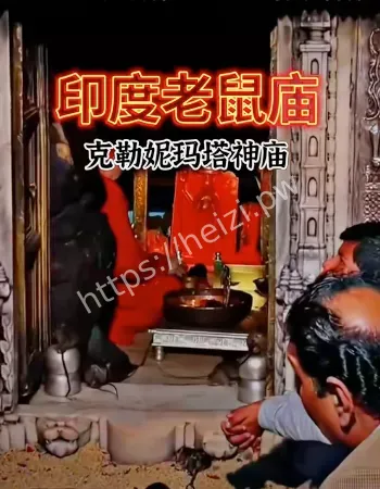 印度卡尔尼玛塔神庙
