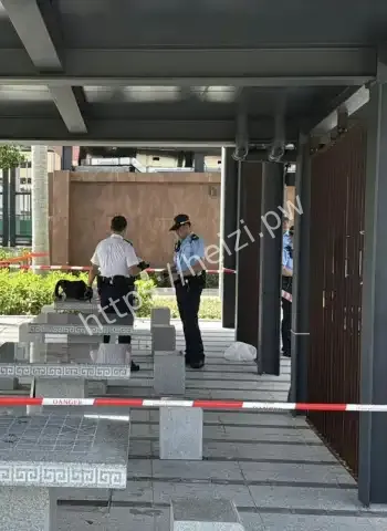 警方通缉长发男子