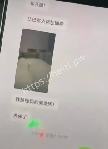 夜巴黎怒爆私密视频