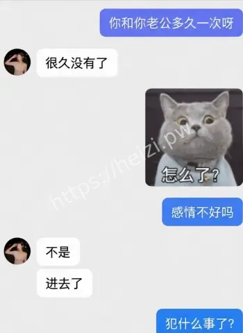 路人仙子婚内出轨