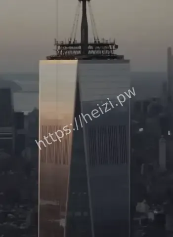 整形名牌保镖样样来