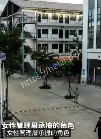 日进斗金秒杀大佬