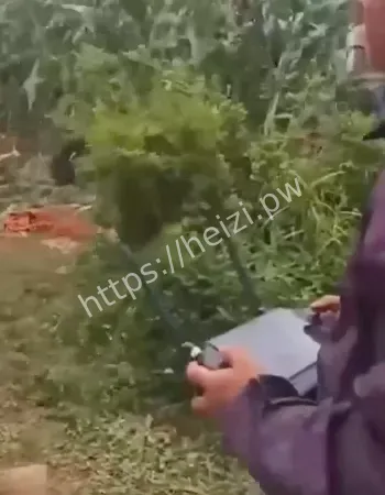 家属安排空中送别