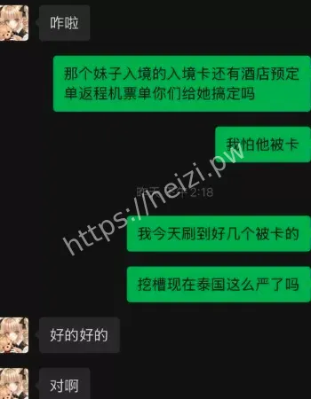 赴泰伴游失联