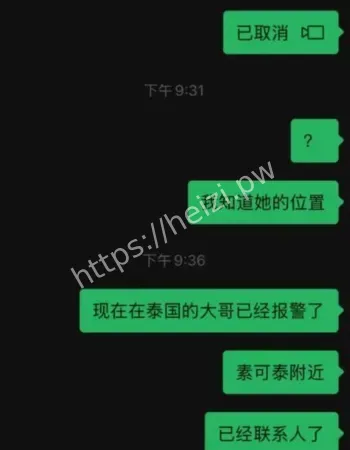 视频流出